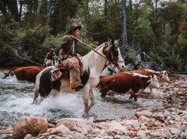Chilean Patagonia community leads plan to conserve its territory and culture.