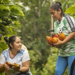 Ecuador’s Sustainable Cocoa Production